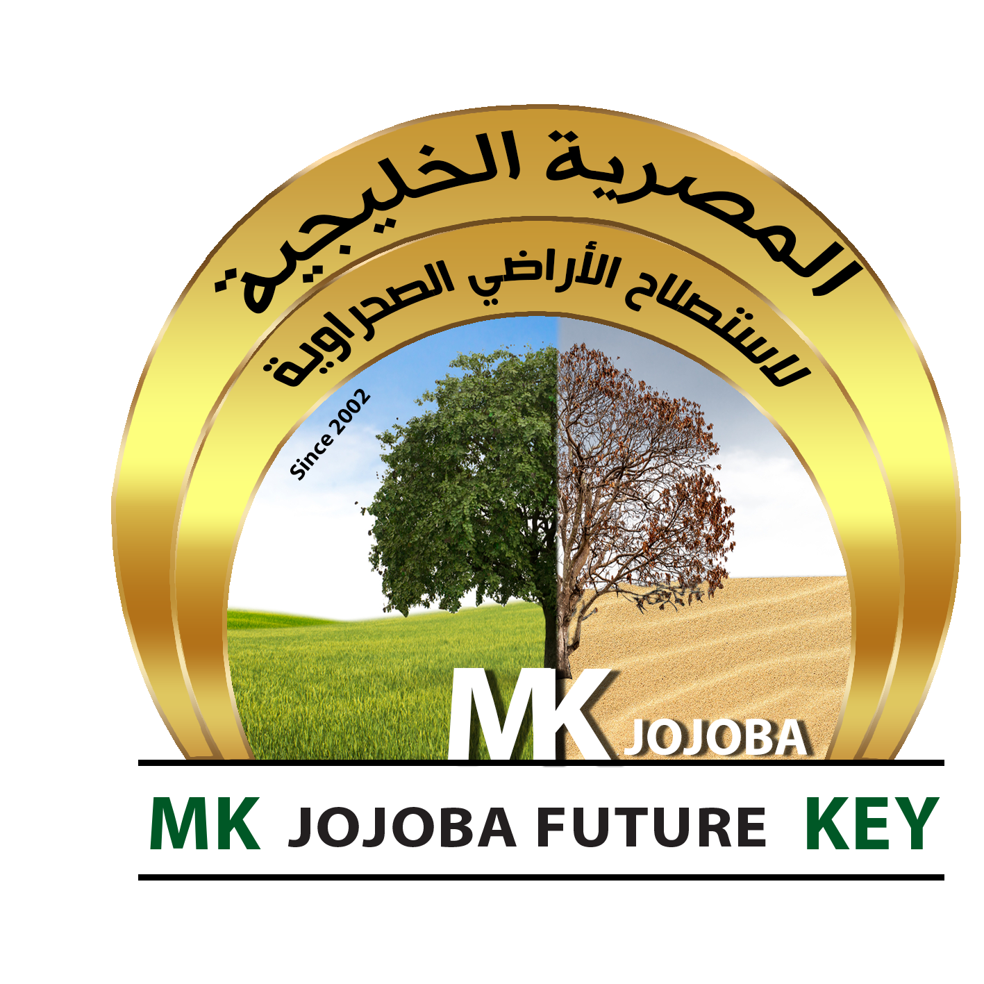 Our projects mk group